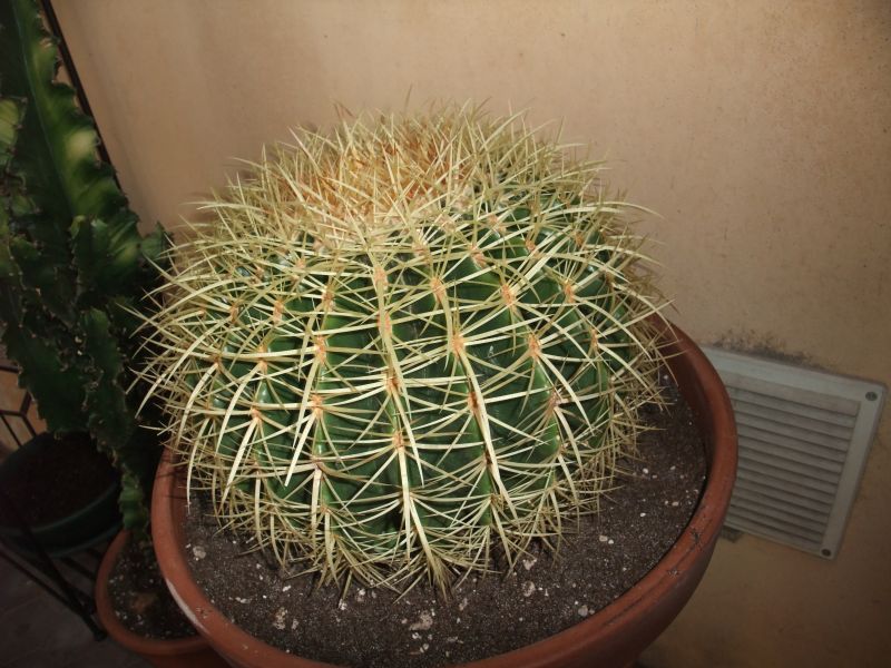  36