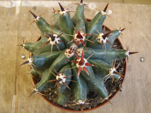   2