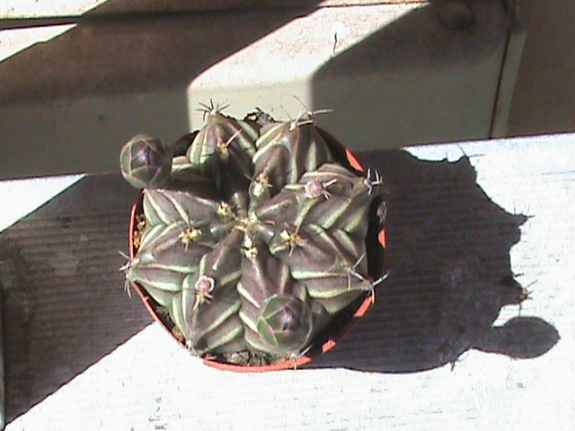   2