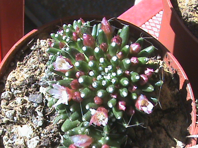   04