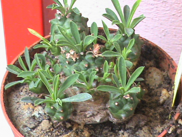   05