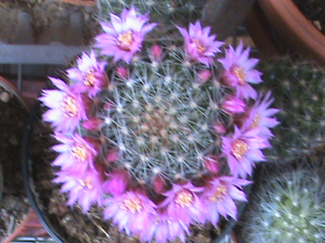   05