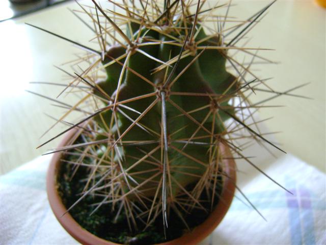  4 