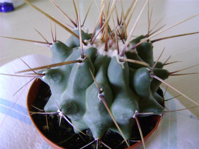  5 
