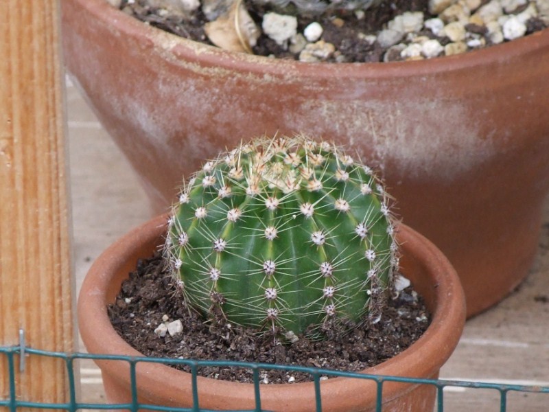   37