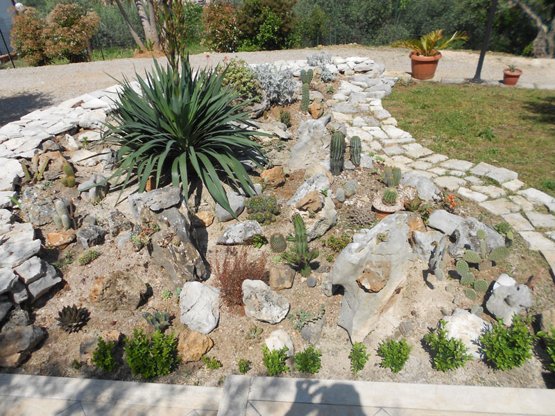 Cactofili Forum Di Cactus E Succulente Leggi Argomento Giardino Roccioso