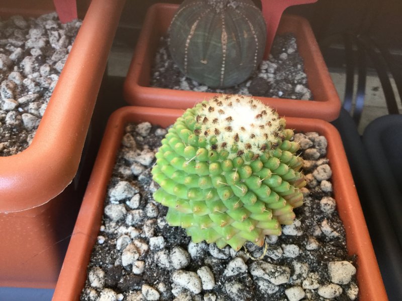   6