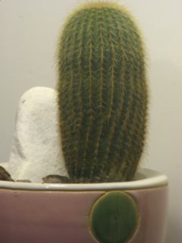   1.