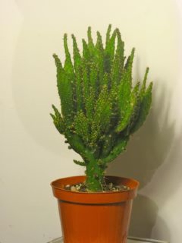   2.
