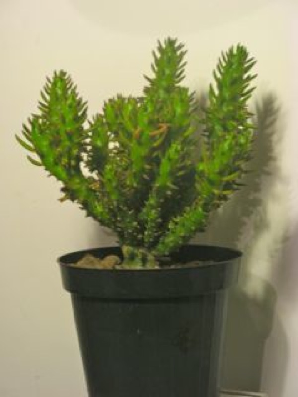   6.