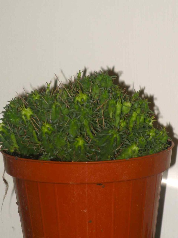   12.