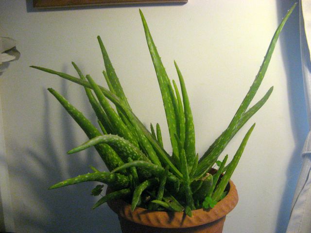   15.