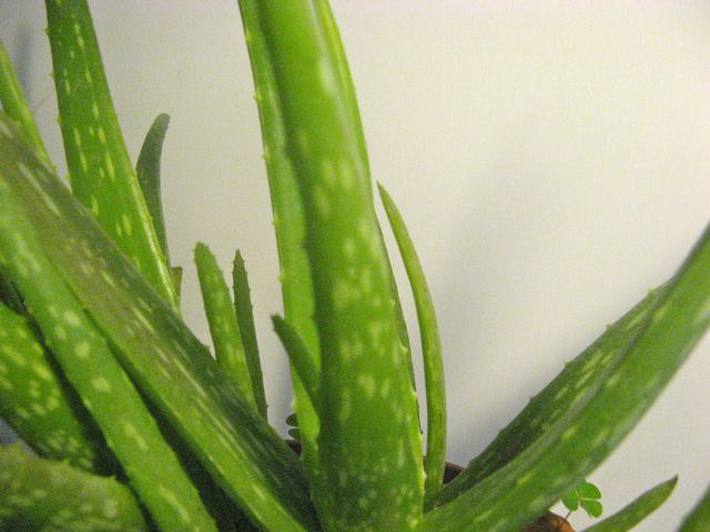  2.