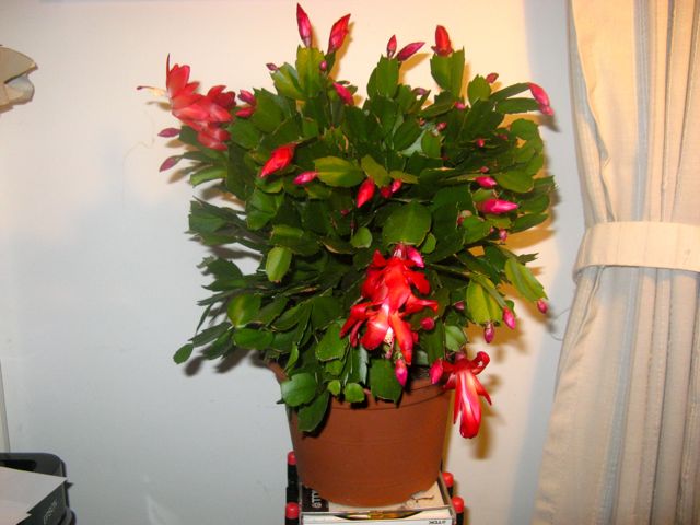   1.