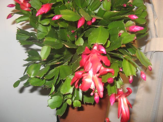   2.