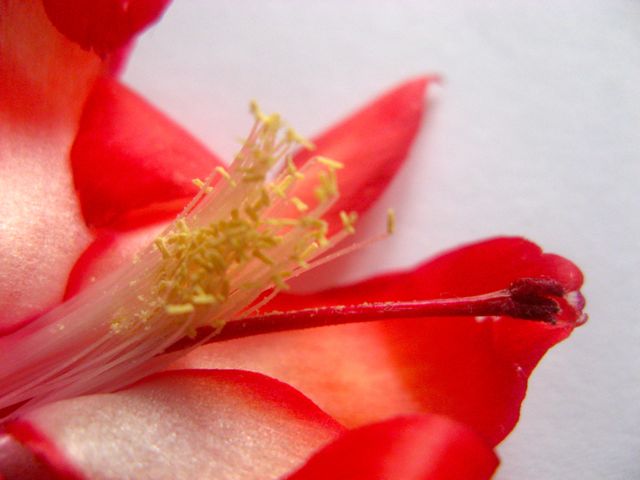   1.