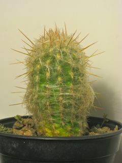   17.