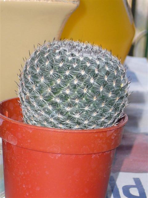 1.  