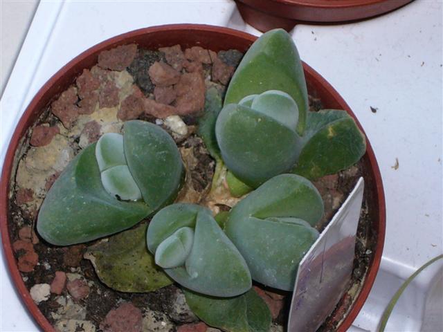 1.  