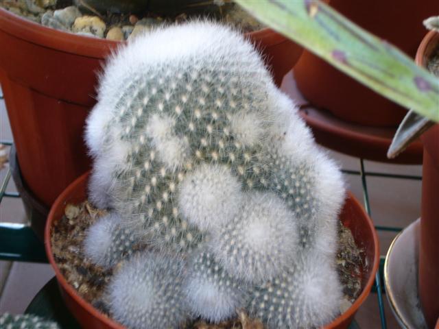 7.  