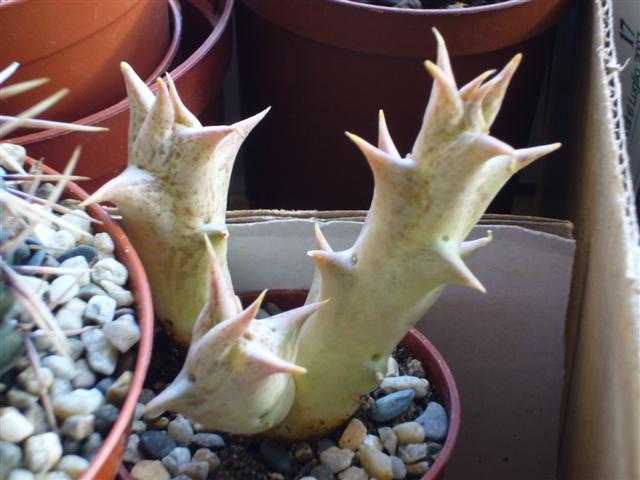 1.  