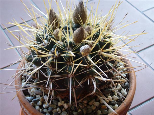 6.  