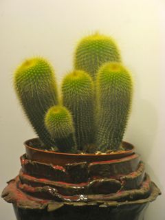   18.