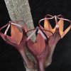 Vai alla scheda di Ceropegia fusca