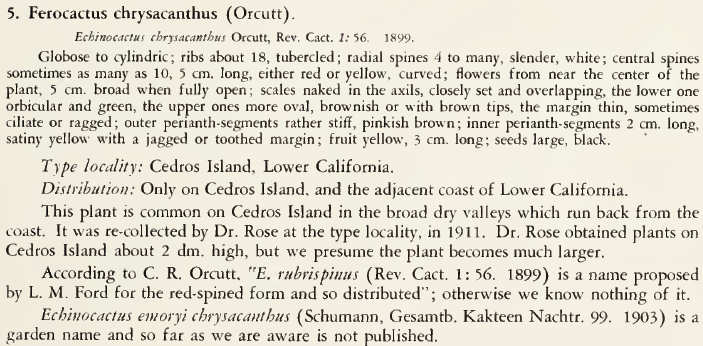 Descrizione originale ferocactus chrysacanthus f. rubrispinus