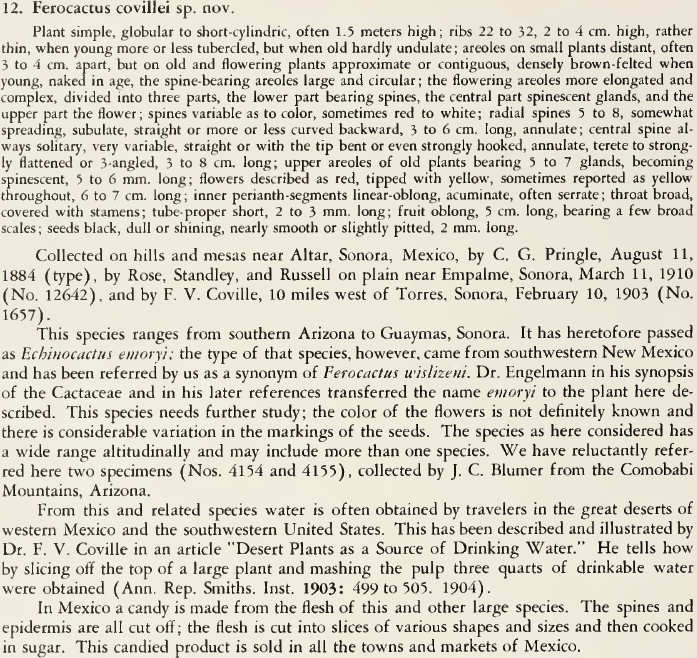 Descrizione originale ferocactus emoryi